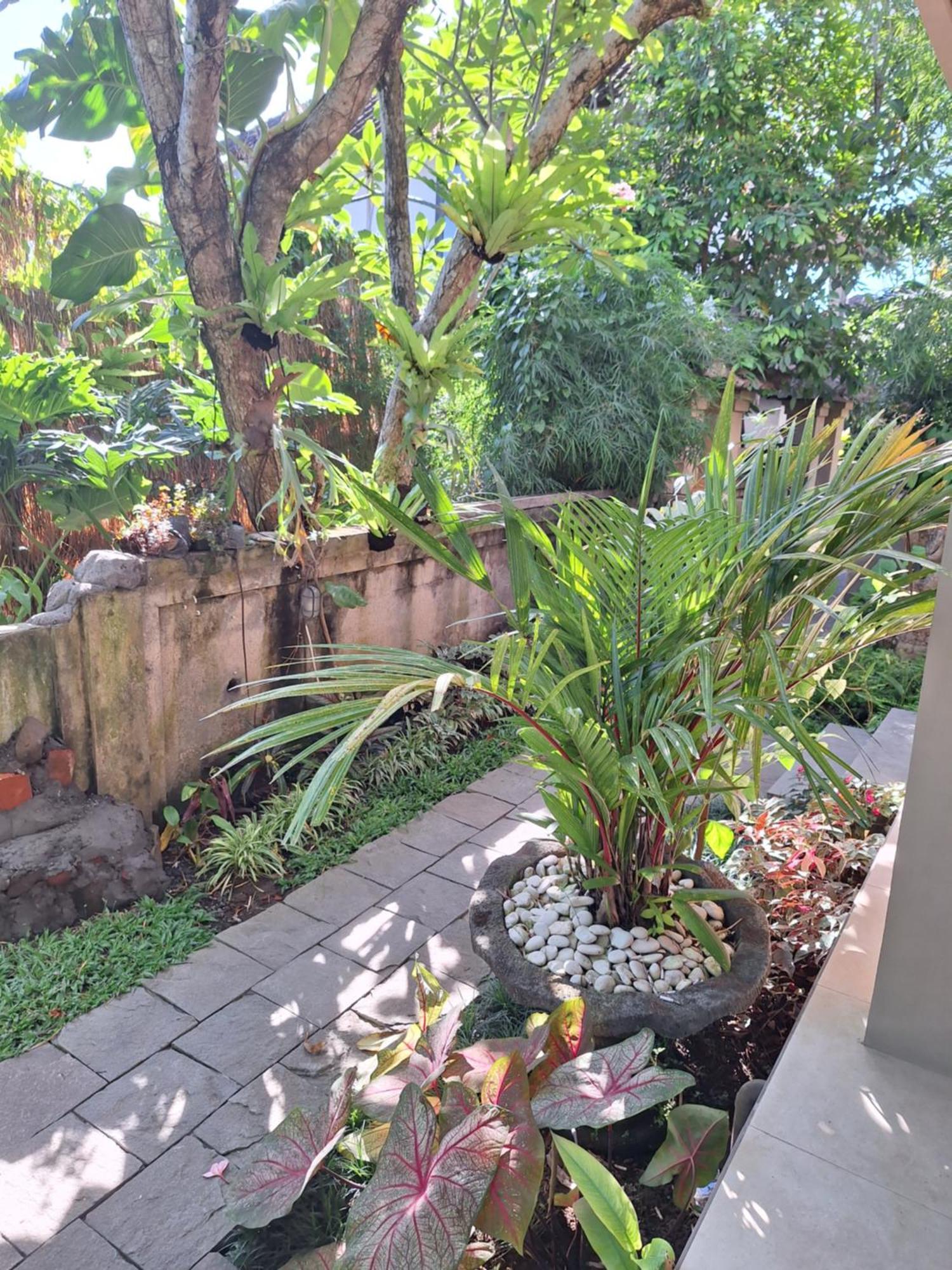 Kasapa Inn أوبود المظهر الخارجي الصورة