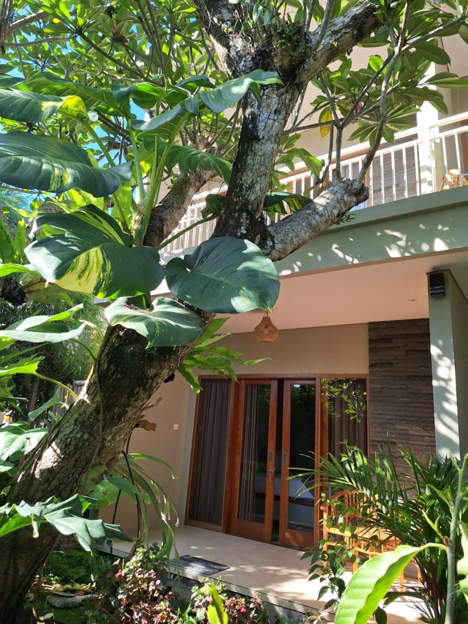 Kasapa Inn أوبود المظهر الخارجي الصورة
